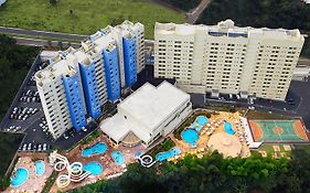 Suite Golden Dolphin